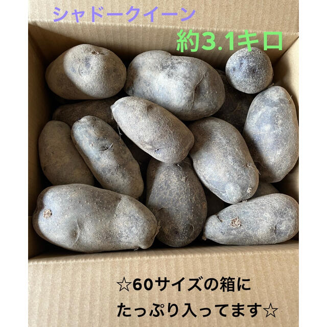 ＊農家歴30年＊無農薬で安心！栄養たっぷり「シャドークイーン」じゃがいも 食品/飲料/酒の食品(野菜)の商品写真