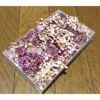 200円お値引き‼️g③ 紫陽花が作った秋色になったピンクアナベル(ドライフラワー)