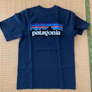 パタゴニア(patagonia)のPatagonia Tシャツ(Tシャツ/カットソー(半袖/袖なし))