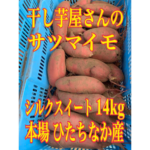 注文殺到!熊本産《極甘小さめ早生みかん》S〜3Sサイズ!5k箱満杯かめまる食堂y