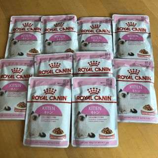 ロイヤルカナン(ROYAL CANIN)のロイヤルカナン　キトン　グレービー　10個(ペットフード)