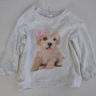 エイチアンドエム(H&M)の長袖トレーナー　80cm　Ｈ＆Ｍ　犬(トレーナー)