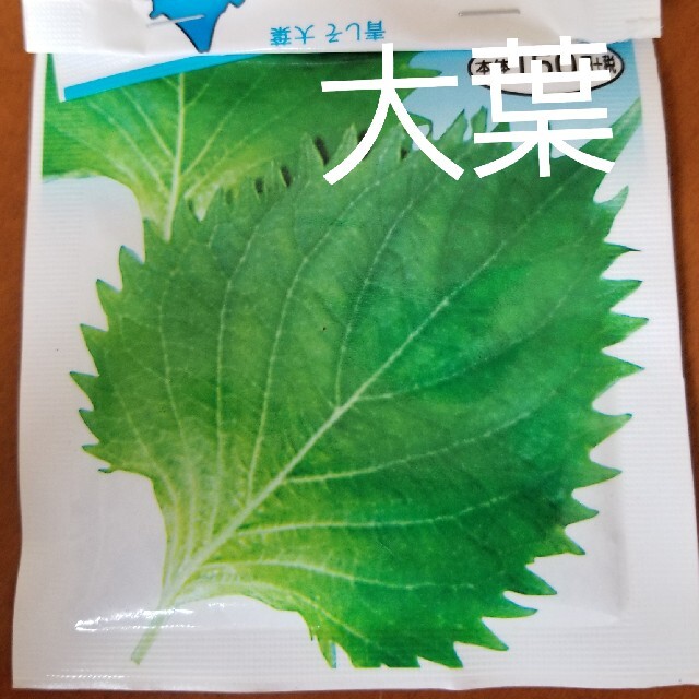 種 種芋 まとめ売り★じゃがいも ルッコラ サラダ菜 しそ パセリ 芽キャベツ  ハンドメイドのフラワー/ガーデン(プランター)の商品写真