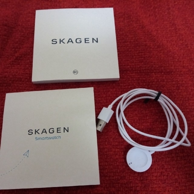 SKAGEN(スカーゲン)のSKAGEN FALSTER2 SKT5100　スカーゲン メンズの時計(腕時計(デジタル))の商品写真