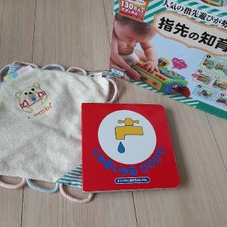 指先の知育　知育おもちゃ　絵本　じゃあじゃあびりびり(知育玩具)