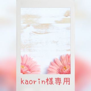 ニンテンドウ(任天堂)の＊kaorin様専用＊(カード)