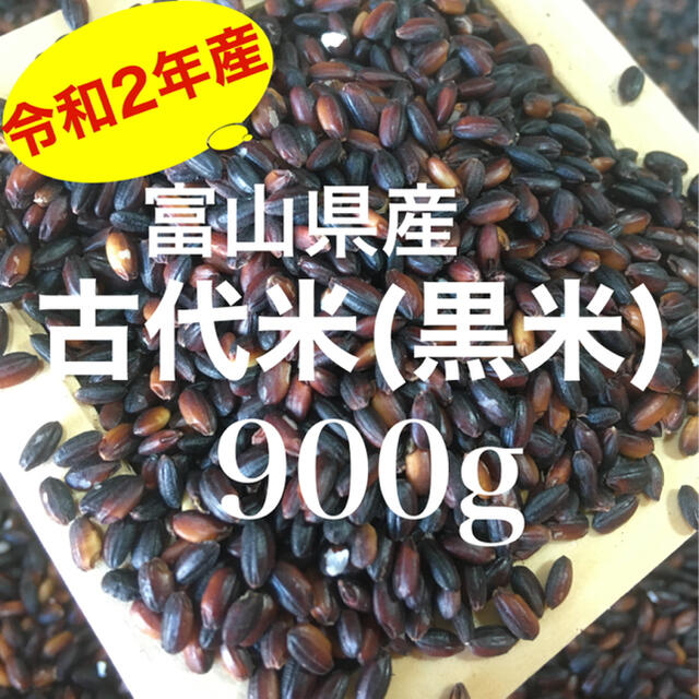 令和2年産 富山県産 古代米 黒米(紫黒米)餅米 900g 食品/飲料/酒の食品(米/穀物)の商品写真