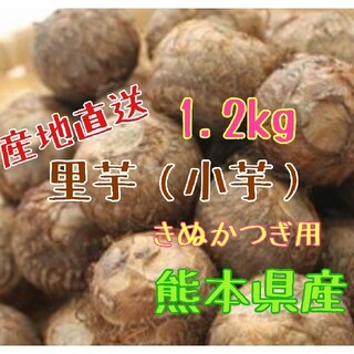 里芋（小芋）1.2kg きぬかつぎ用　 熊本県産(野菜)
