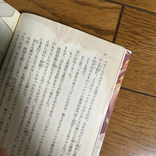 涼宮ハルヒ　小説10冊セット エンタメ/ホビーの本(文学/小説)の商品写真