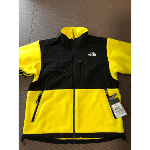 THE NORTH FACE(ザノースフェイス)の海外限定　新品　ノースフェイス　メンズデナリジャケット　フリース　L  メンズのジャケット/アウター(ブルゾン)の商品写真