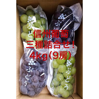 信州葡萄 3種詰め合わせ 約4kg(9房) 黄甘 巨峰 ピオーネ(フルーツ)