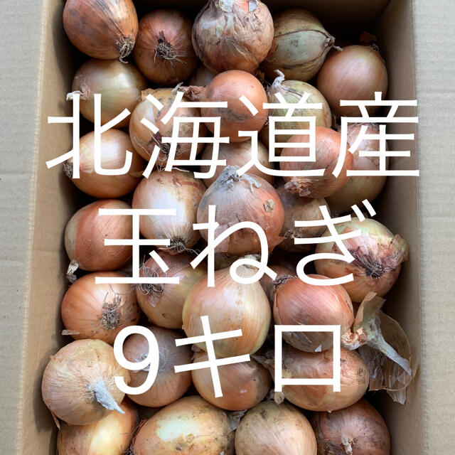 北海道産玉ねぎ　9キロ 食品/飲料/酒の食品(野菜)の商品写真