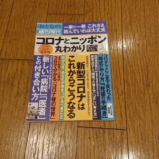 おとなの週刊現代 完全保存版 ２０２０　ｖｏｌ．７(ビジネス/経済)