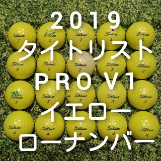 タイトリスト(Titleist)の2019 タイトリスト　PRO V1  ロストボール　ゴルフボール　317(その他)