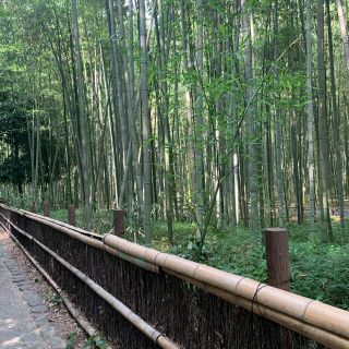 安心！国産熟成黒にんにく　兵庫県産黒にんにく玉2キロ(野菜)