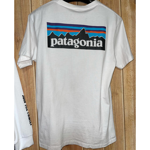 patagonia(パタゴニア)のpatagonia パタゴニア Tシャツ　白　L サイズ レディースのトップス(Tシャツ(半袖/袖なし))の商品写真