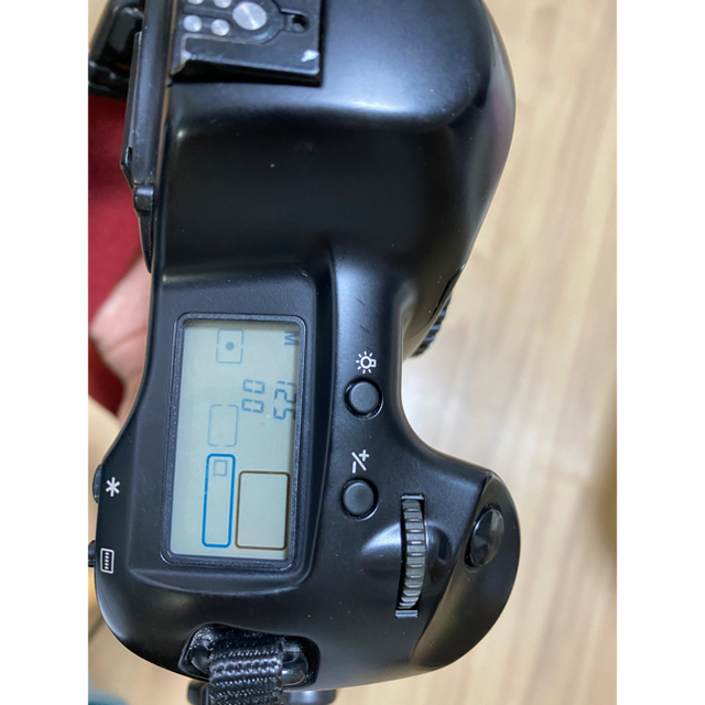 Canon(キヤノン)のEOS 1n セット スマホ/家電/カメラのカメラ(フィルムカメラ)の商品写真