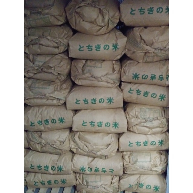 ◇農家直送 2021年 栃木県産 コシヒカリ(新米) 玄米 20kg新米