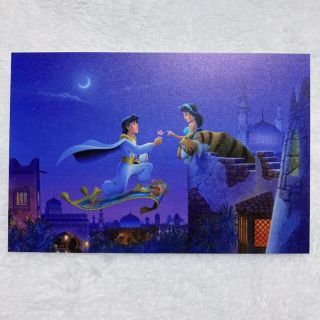 ディズニー(Disney)のディズニーシー　アラジン　ポストカード(使用済み切手/官製はがき)