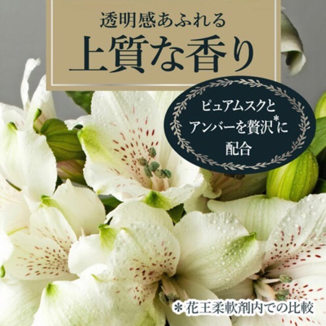 フレア フレグランス IROKA 柔軟剤 ネイキッドリリーの香り 2