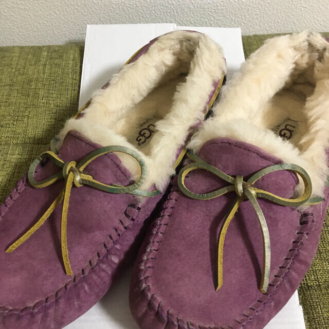 UGG モカシン ダコタ パープル DAKOTA 24センチ 箱付き 美品！ - 靴