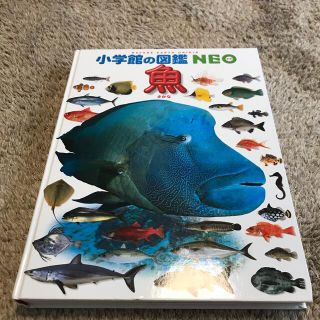 ショウガクカン(小学館)の小学館の図鑑NEO 魚(絵本/児童書)