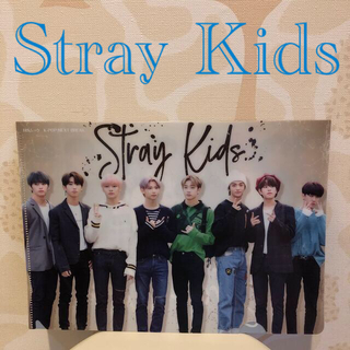 コウダンシャ(講談社)のK-POP Stray Kids(アイドルグッズ)