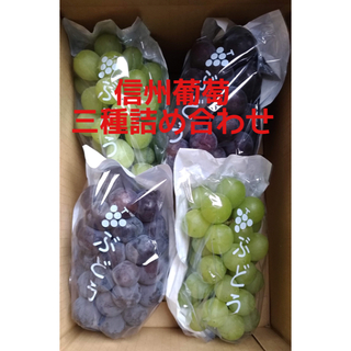 【信州葡萄】黄甘、巨峰、ピオーネ 詰合せ 2kg(4房) ぶどう ブドウ(フルーツ)