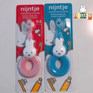 ★Nijntje★ オランダ限定ミッフィー歯ブラシ(歯ブラシ/歯みがき用品)