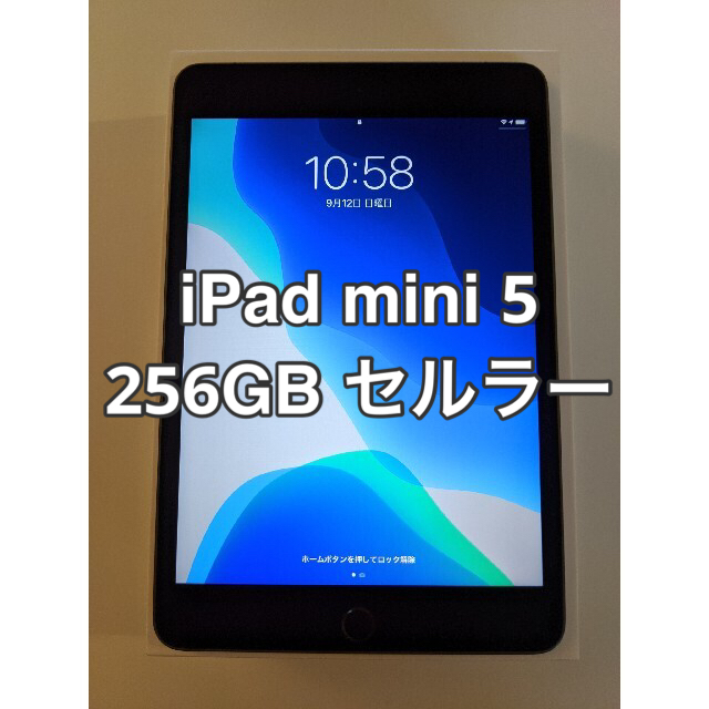iPad mini 5 256GB 本体 Cellular SIMフリー バーゲン 50.0%OFF www