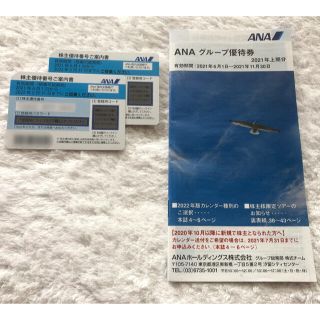 エーエヌエー(ゼンニッポンクウユ)(ANA(全日本空輸))のANA 株主優待券（2枚）　全日空(その他)