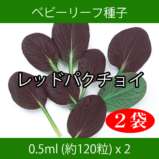 ベビーリーフ種子 B-28 レッドパクチョイ 0.5ml 約120粒 x 2袋 食品/飲料/酒の食品(野菜)の商品写真