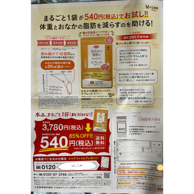 大正製薬(タイショウセイヤク)のおなかの脂肪が気になる方のタブレット　定価３７８０円→５４０円→申込用紙１枚 コスメ/美容のダイエット(ダイエット食品)の商品写真