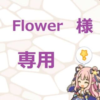 Flower様 専用ページ(その他)