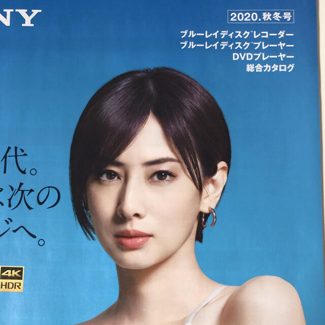 SONY(ソニー)のカタログ3点　SONY ソニー　ブラビア　レコーダー　北川景子　表紙　カタログ エンタメ/ホビーのタレントグッズ(女性タレント)の商品写真