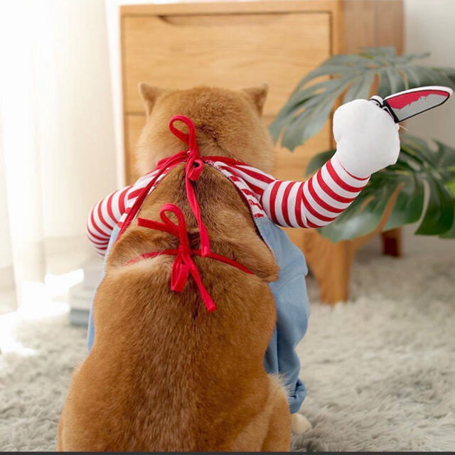 とってもかわいい ハロウィン コスプレ 仮装 犬 猫 チャッキー  ペット