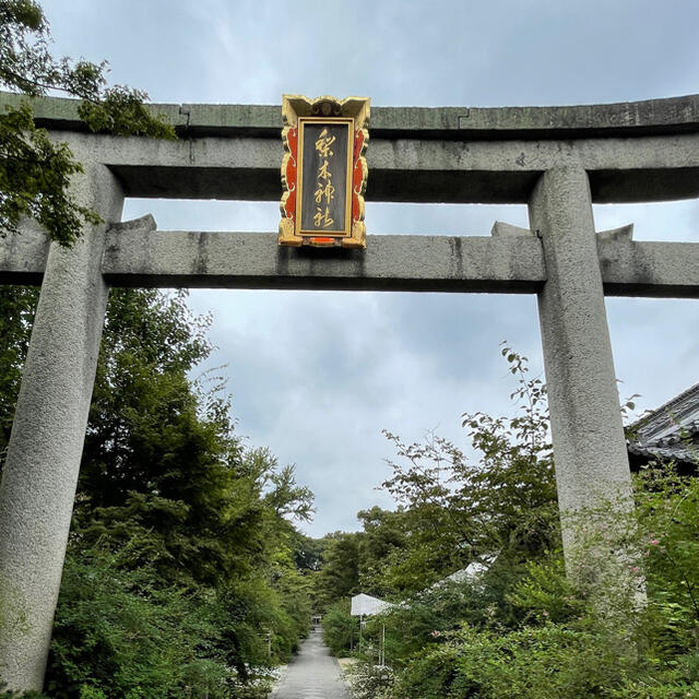 京都　梨木神社　秋季限定御朱印　萩　ピンク エンタメ/ホビーのコレクション(印刷物)の商品写真