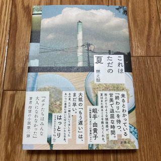 これはただの夏（サイン本）　著者 : 燃え殻(文学/小説)