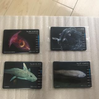 メイジ(明治)の明治製菓　深海生物グミカード(その他)