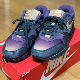 ナイキ(NIKE)のNIKE AIR MAX1 PREMIUM(スニーカー)