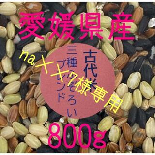 na××7様専用　古代米3種ふぞろいブレンド　愛媛県産　800ｇ(米/穀物)