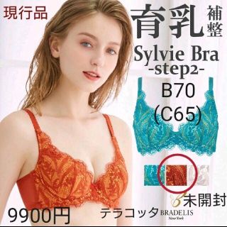 ブラデリスニューヨーク(BRADELIS New York)の本日限定❕日本製現行品☆育乳ブラデリス 寄せ上げ STEP2/B70シルヴィブラ(ブラ)