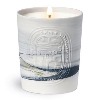 ディプティック(diptyque)の【新品】diptyque フレグランスキャンドル ビブロス 300G [限定版](アロマ/キャンドル)