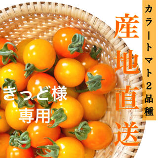 カラートマト1kg (野菜)