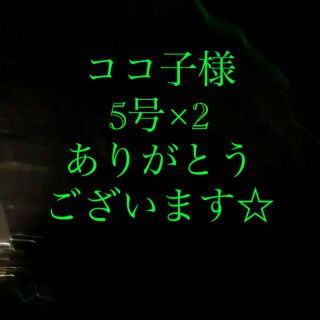 さびき 仕掛け針 2枚◎5号×2点　他より太く丈夫な糸 最安値(釣り糸/ライン)