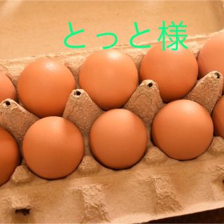 とっと様専用　訳ありたまご30個(野菜)