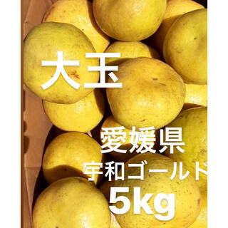 愛媛県　宇和ゴールド　河内晩柑　5kg(フルーツ)