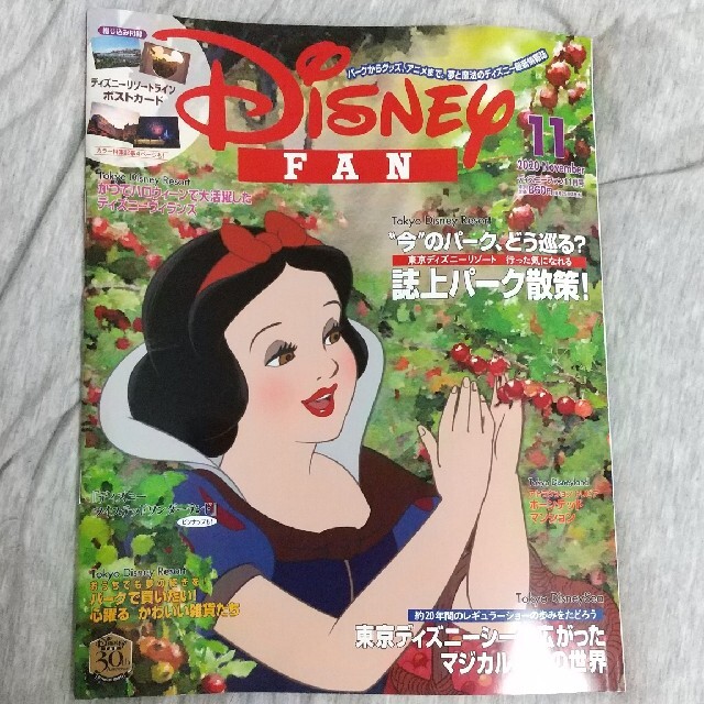 Disney ディズニーファン 年11号の通販 By しましまず本舗 ディズニーならラクマ