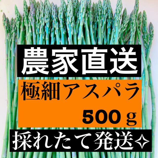 極細アスパラ 即購入OKです 食品/飲料/酒の食品(野菜)の商品写真