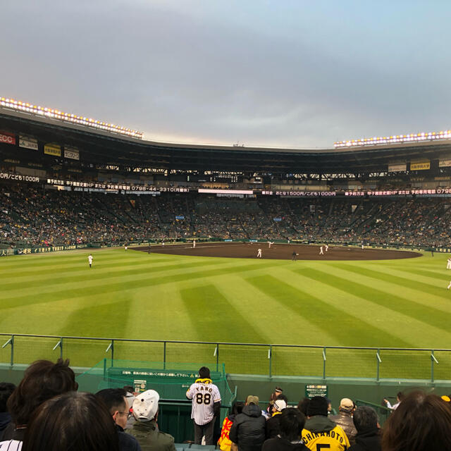 甲子園9月18日阪神vs中日ライトスタンドペアチケット